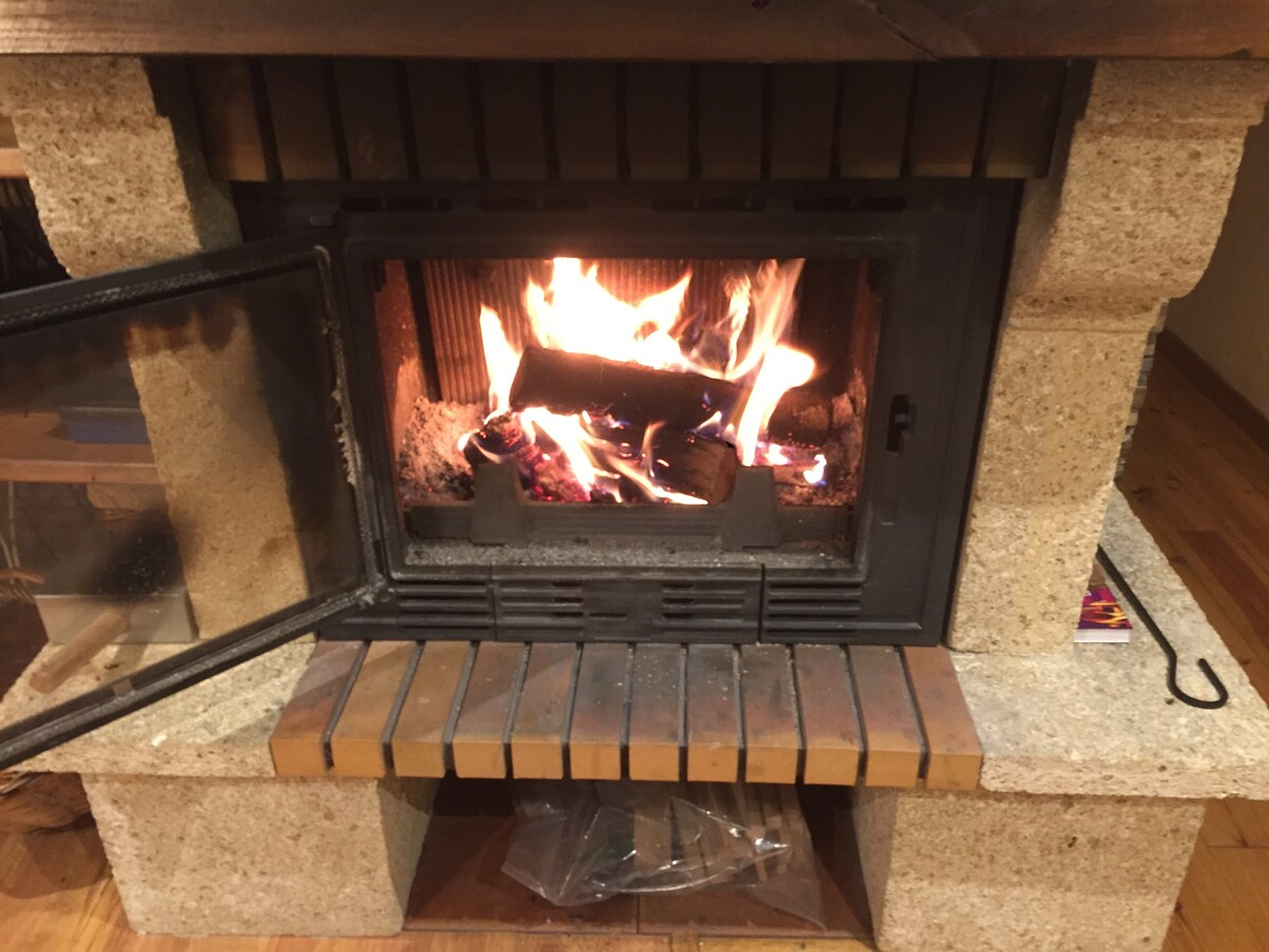 A stone fireplace is featured with an open glass door, revealing a warm and flickering fire. The hearth is lined with brick, providing a rustic touch. A small pile of wood can be seen inside, ready for use.