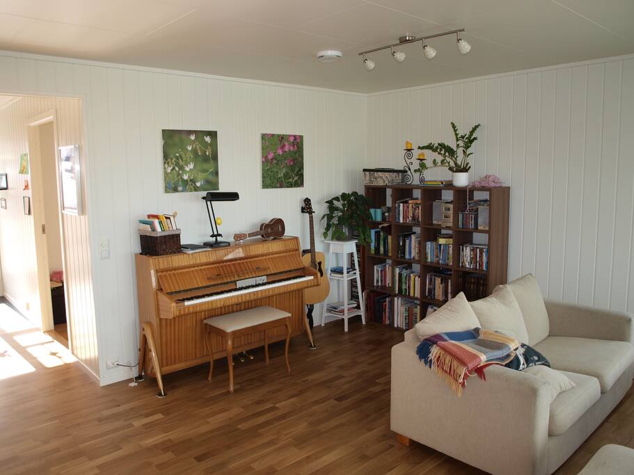 Piano, Guitar, Ukulele. Jam session??