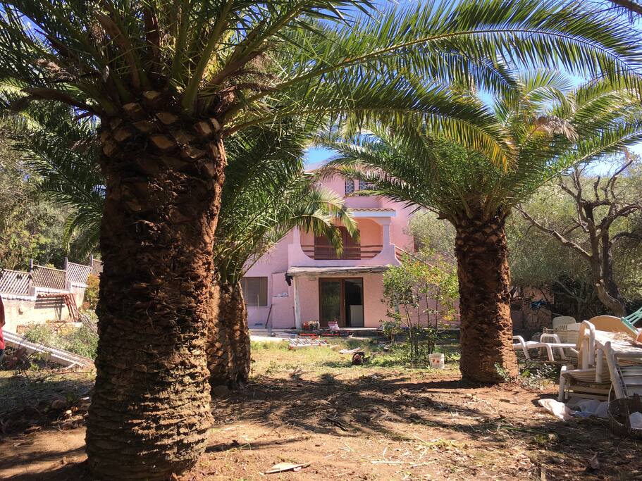 Giardino