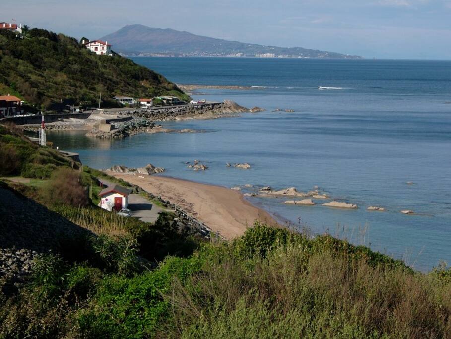 Port de Guethary