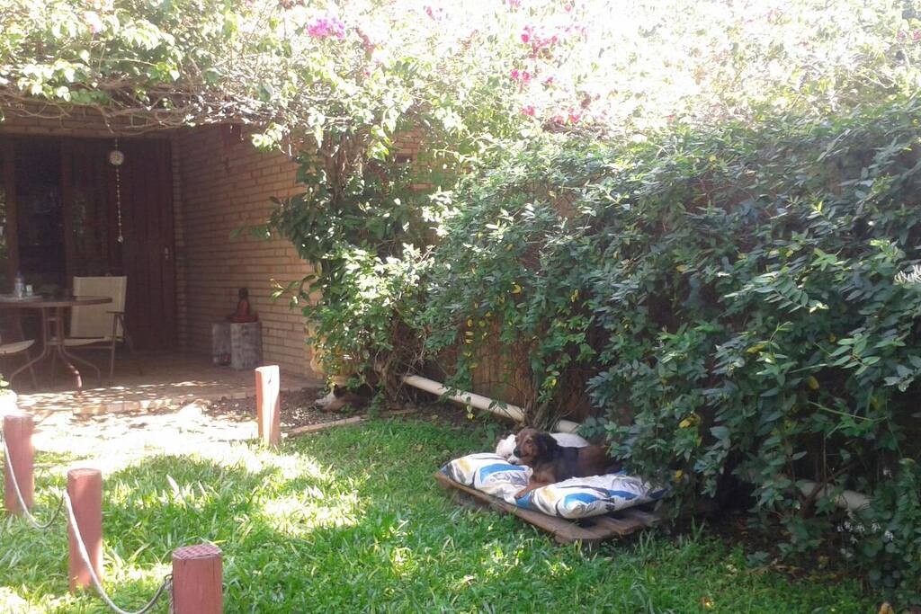 Seu pet é muito bem vindo na Casa Zen
! !!
