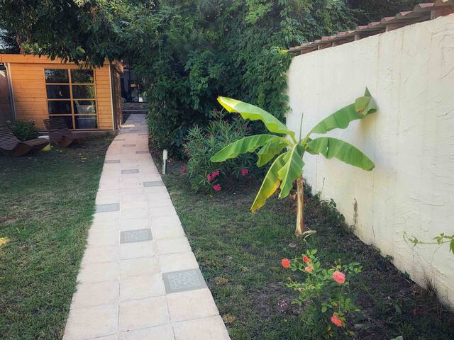 Bordeaux / Maison de ville avec grand jardin gallery image 4