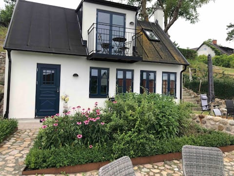 House with sea view in Viks fishing village in Österlen