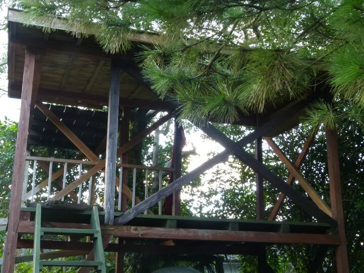 Surfing Point Of Koigaura Vacation Rentals Homes Ono 串間市 Japan Airbnb Surfing Point Of Koigaura Vacation Rentals Homes Ono 串間市 Japan Airbnb
