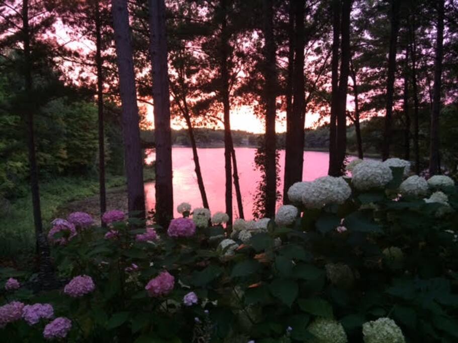 Lovely couples welcome for these hot pink evenings.