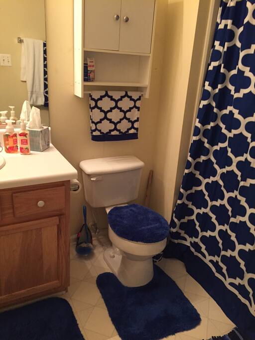 Guest Bathroom