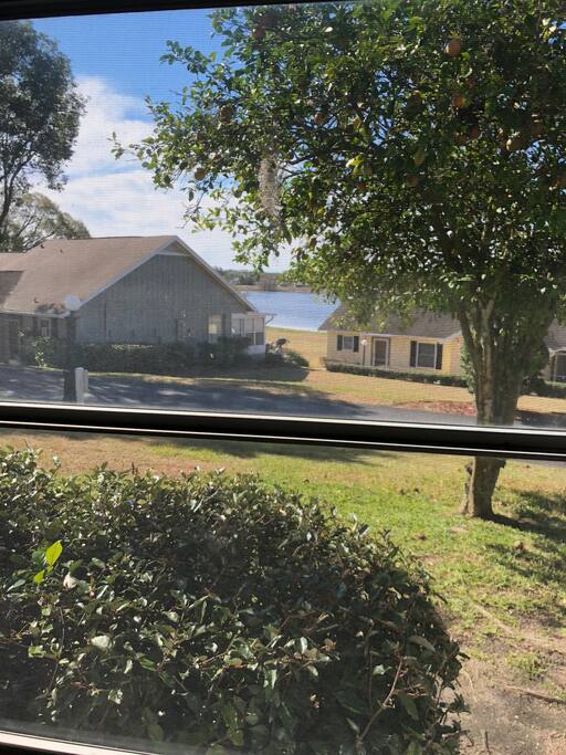 view from the porch