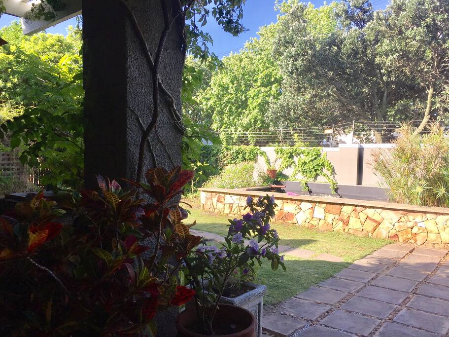 Front garden with electric fencing