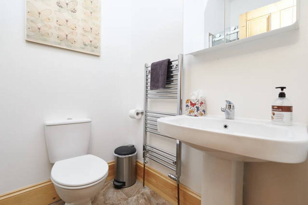 Modern bathroom with large power shower.