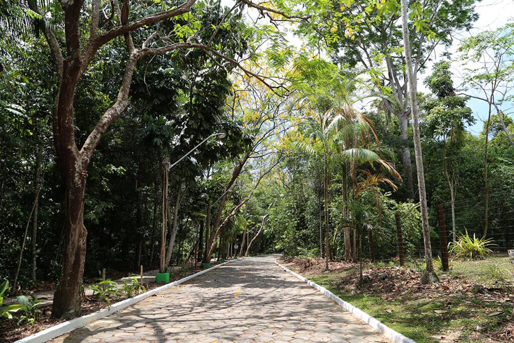Caminhada no Parque do Mindu