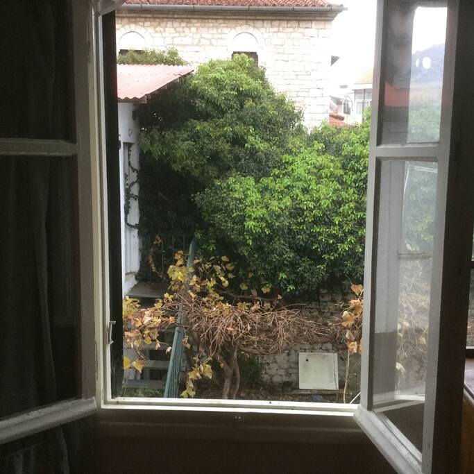 View to the garden / Θέα στον κήπο