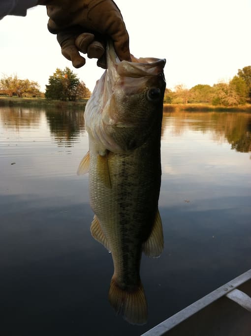 Another catch from one of our guests