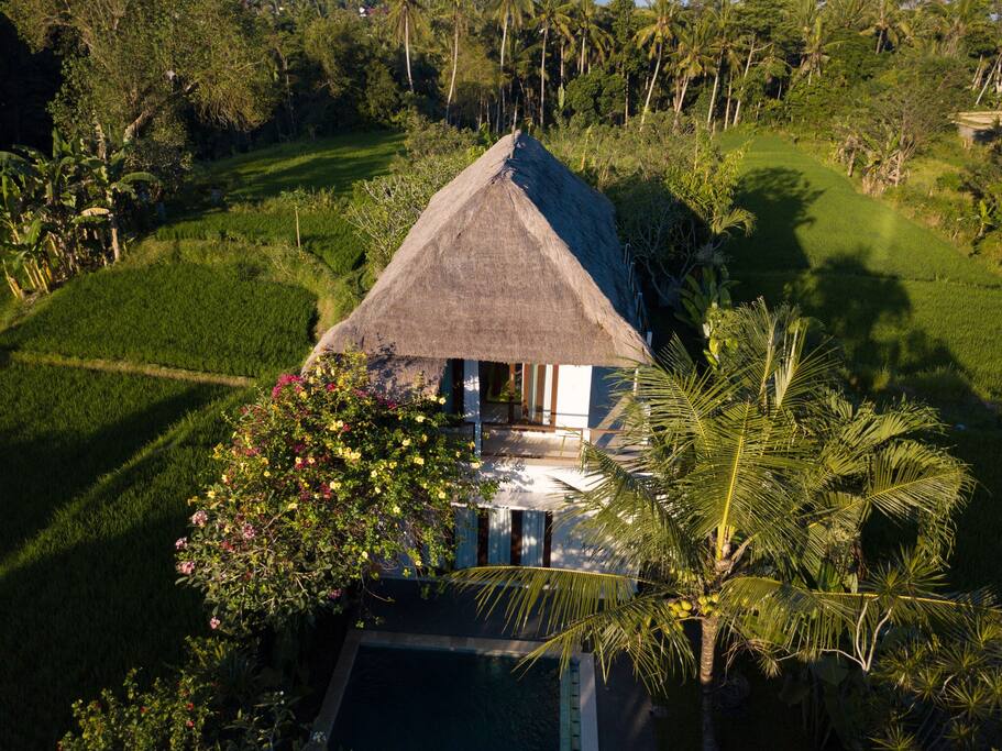 The villa - set amongst nature
