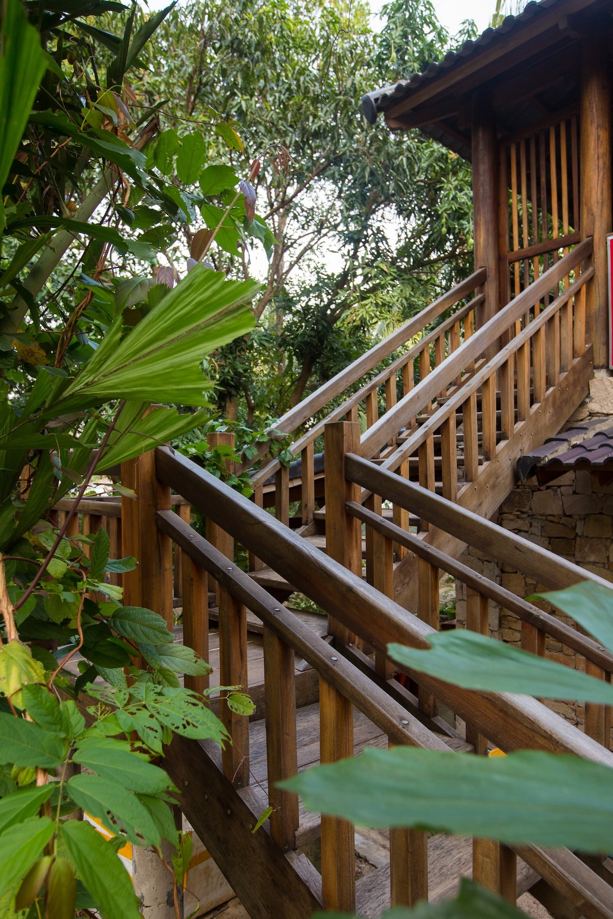 A wooden staircase is framed by lush greenery, leading to the entrance of the second-floor apartment. The steps are bordered by sturdy wooden railings, inviting exploration while surrounded by vibrant tropical plants.