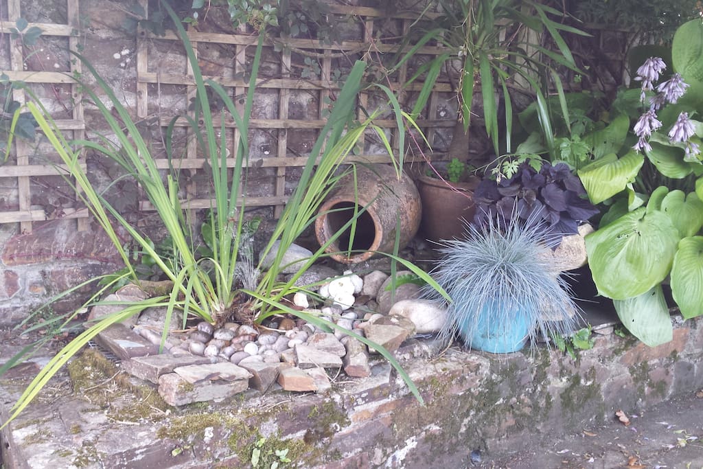 Quiet garden corner