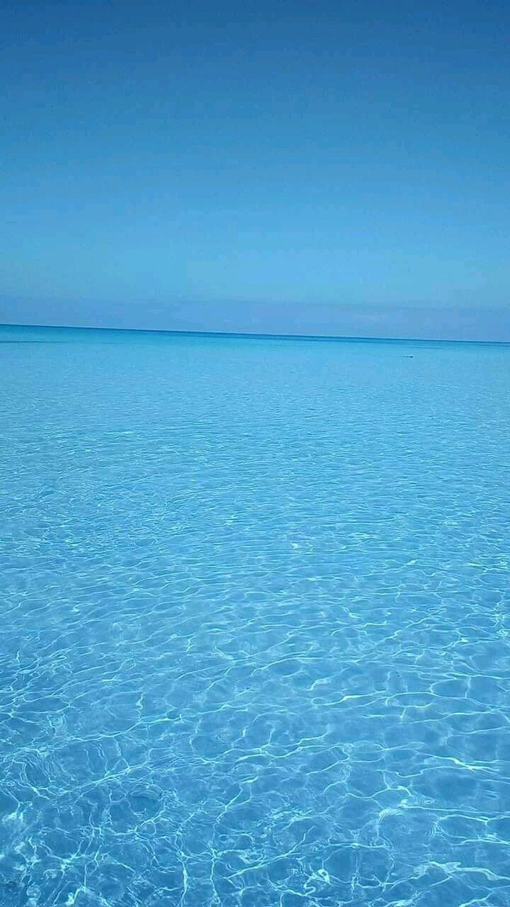 A tranquil expanse of clear blue water stretches to the horizon, reflecting the sky above. The calm surface creates a serene atmosphere, with gentle ripples visible in the water. The scene invites relaxation and connection with nature.