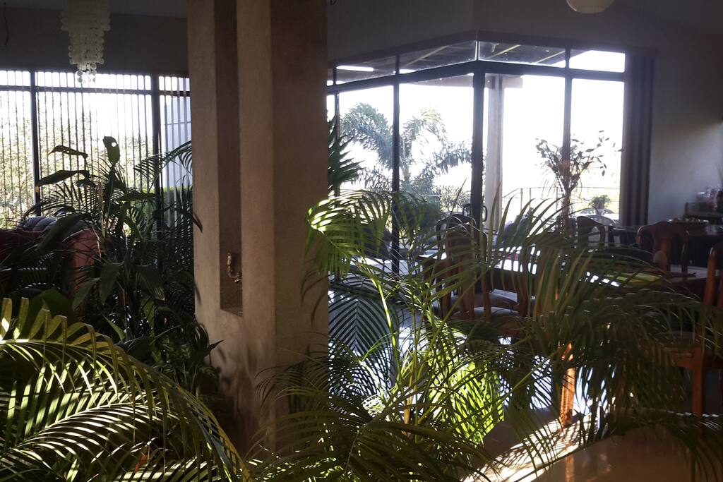 Vista del jardín interior y el comedor.