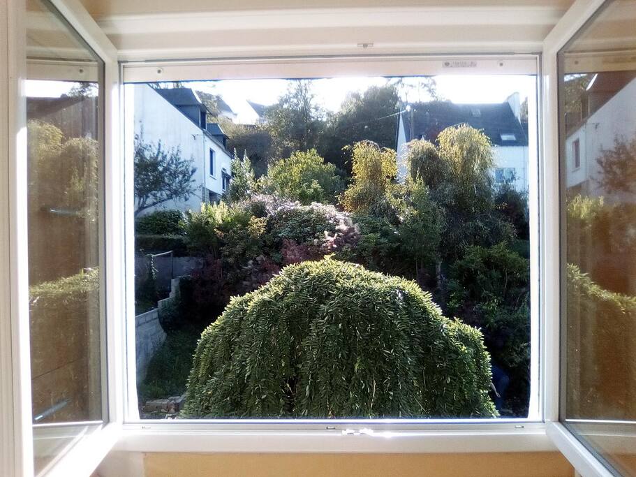 Vue de la chambre