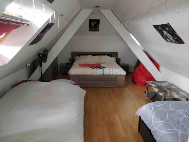 Joli duplex proche de Strasbourg et d'Europa Park