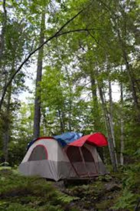 Forest Campers