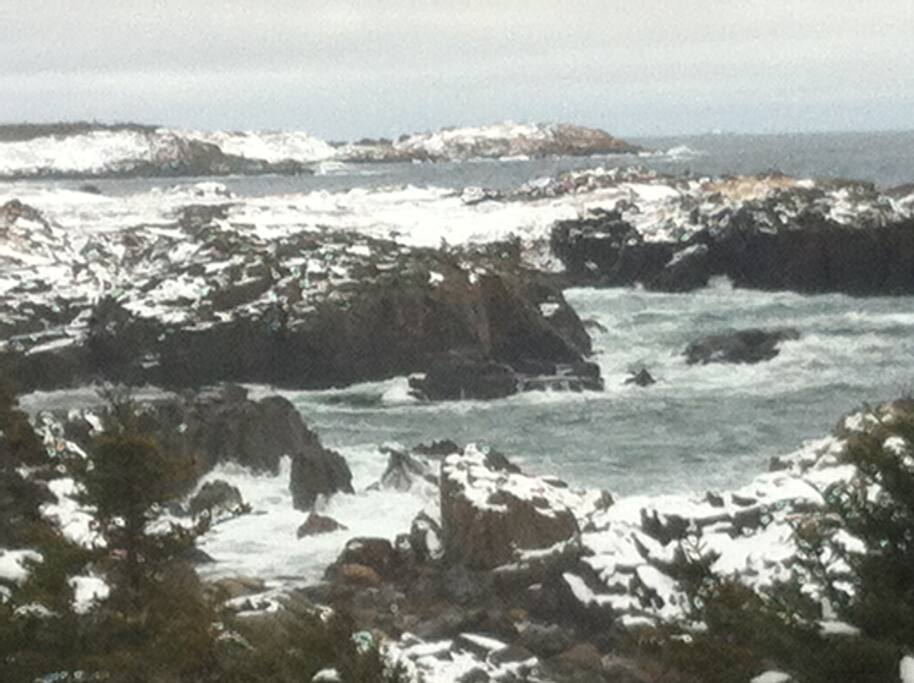 Along Lighthouse Trail in Winter