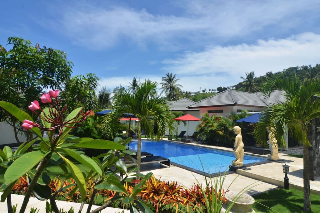 Pool and Garden