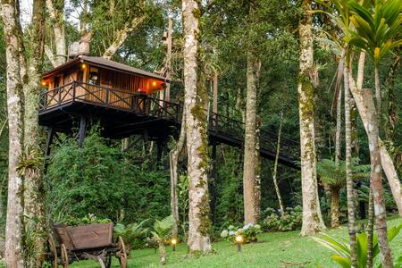 Casa na Árvore nas montanhas (Monte Verde - MG)