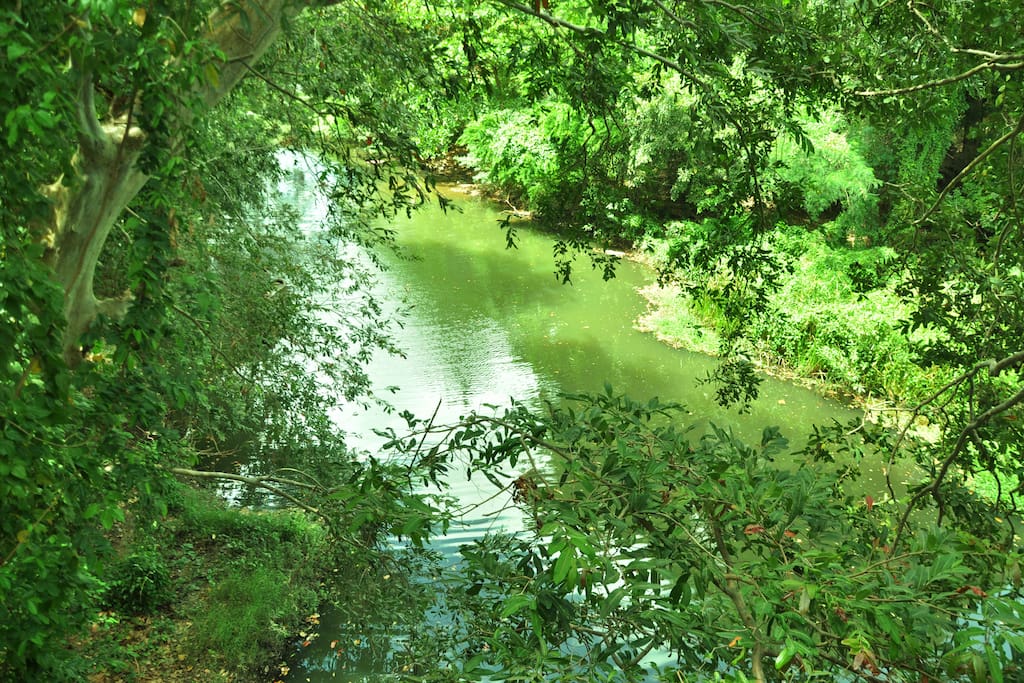 river view in kumbuk tree house