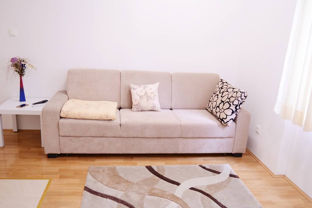 Living room with extendable sofa bed