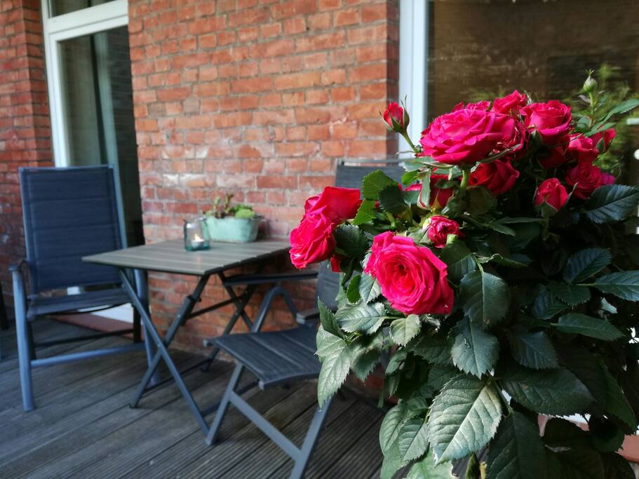 Rote Rosen überall in Lüneburg!
Auch auf der Terrasse der Ferienwohnung "Stadtgärtchen".