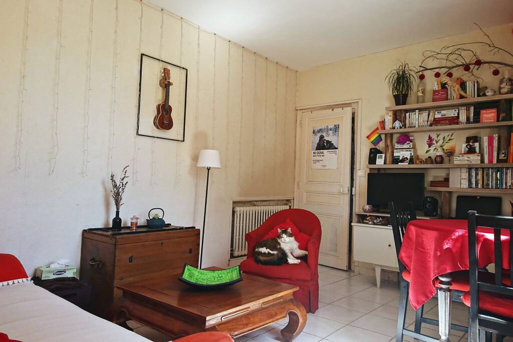 Salon / Salle à manger