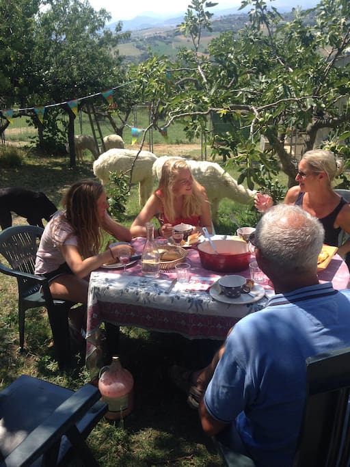 Picnic between the alpacas