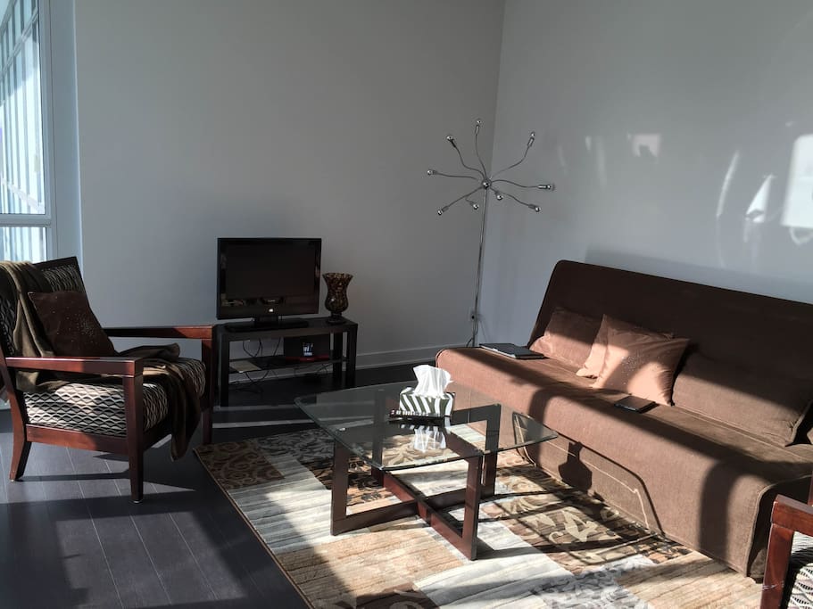 Living room with a futon that turns to a double bed.