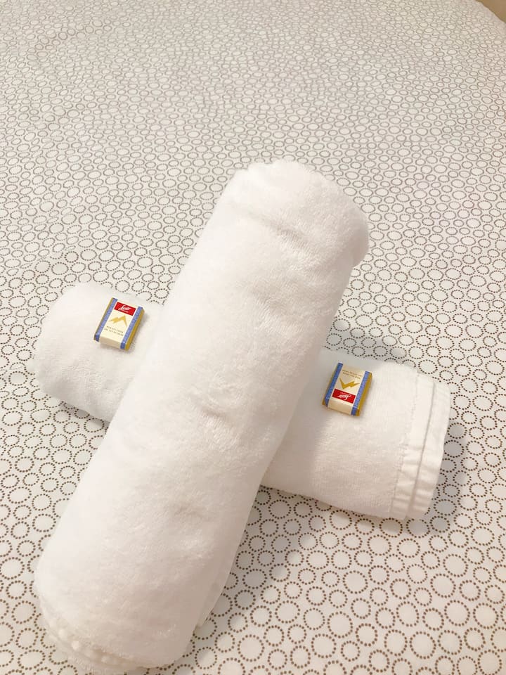 Top 17 Airbnb Vacation Rentals In Richmond Hill, Ontario, Canada