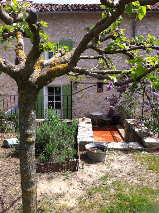 Jardin