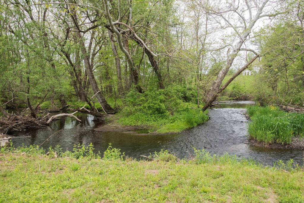 At the creek in spring