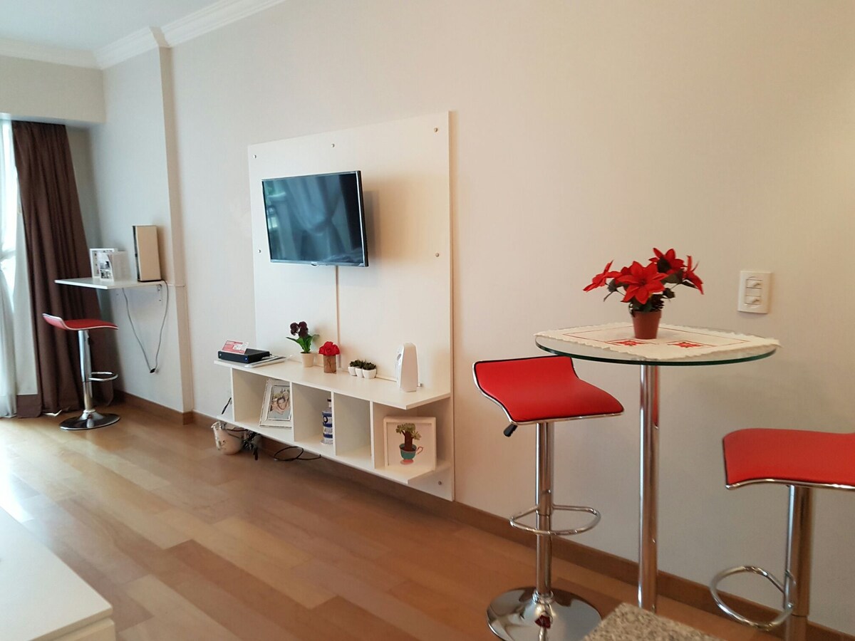 Successful Airbnb property: Apart Recoleta - 3pax - 24 hour security - Bright in Recoleta