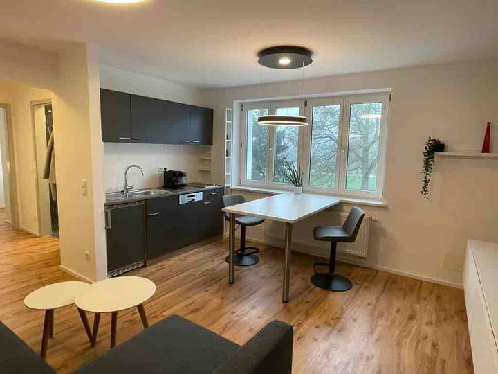Newly renovated apartment in a central location