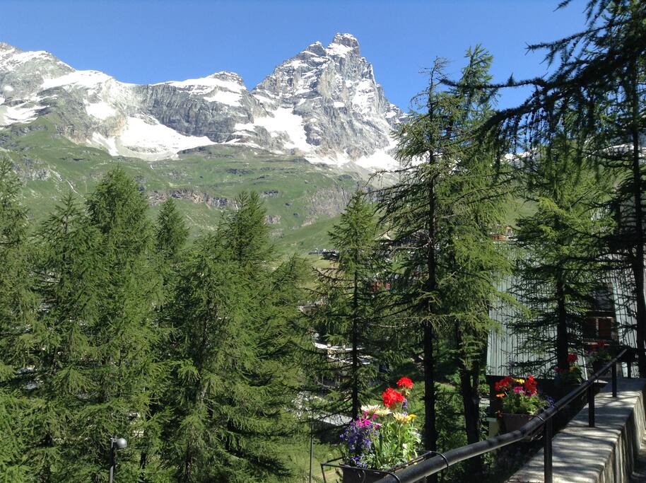 Vista dall'ingresso estivo del condominio