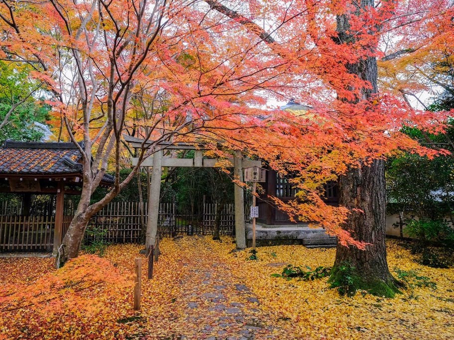 莲华寺 京都红叶季真正的穴场 京都旅游攻略 尽在airbnb爱彼迎