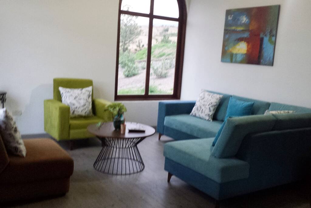 Sala principal con TV, confortable, sofá cama y sofá en L, chimenea , mueble con decoración y juegos de sala, terrarios , wi-fi. Decoración vanguardista moderna...espacios plenos de luz.