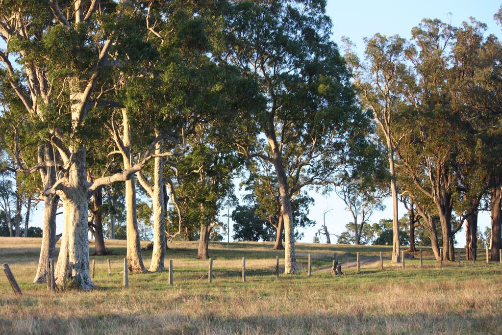 Eelah property