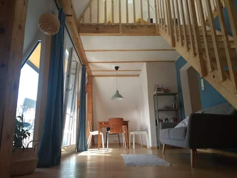 Top performing Airbnb: Large apartment with old building charm and mountain views in Ostallgäu