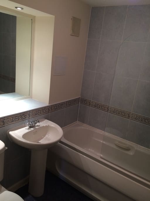 Shared Bathroom/Shower with a wide mirror. There is a hairdryer if needed.