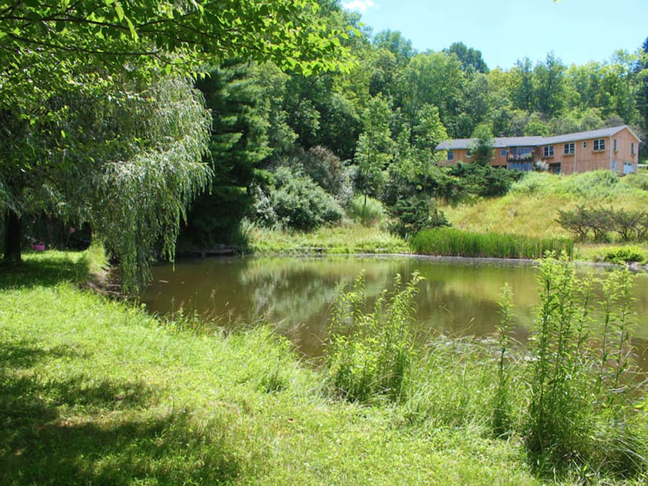 View From Back Porch