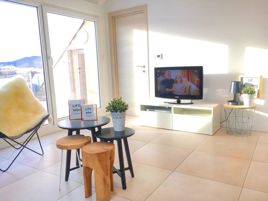 Agréable salon avec TV Samsung écran plat