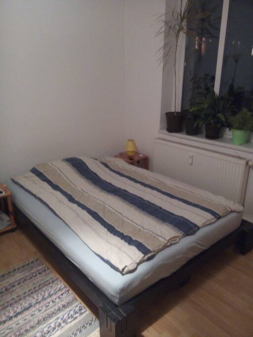 Zimmer 1.2