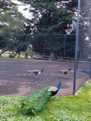 袋鼠之地 170亩岱崮地貌 Family activities客房 gallery image 4