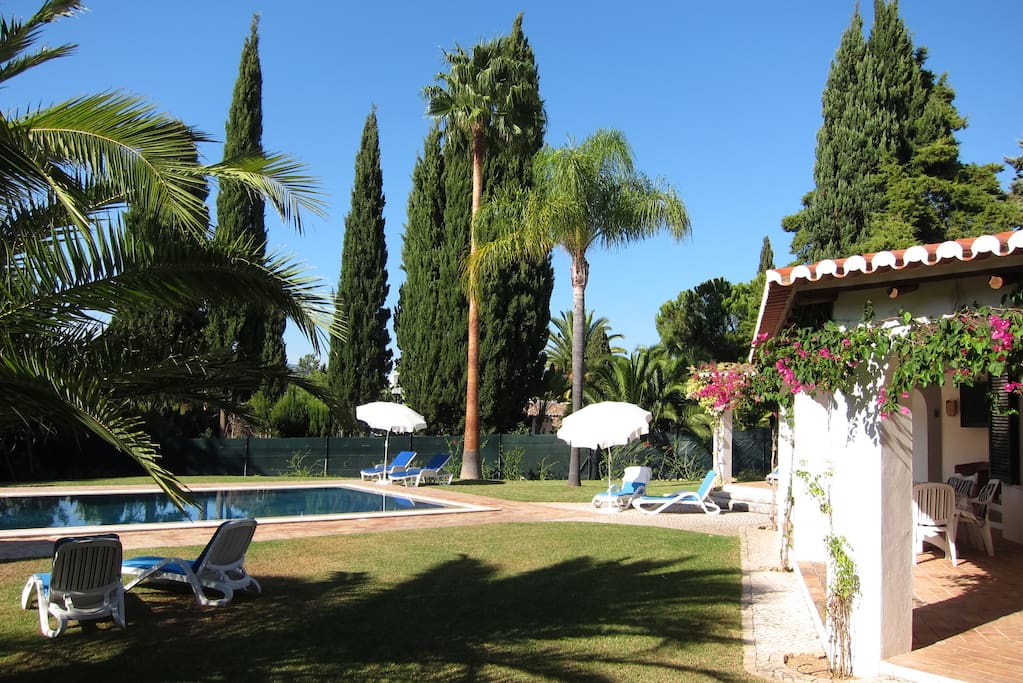 View (North) onto pool and terrace and great grown garden