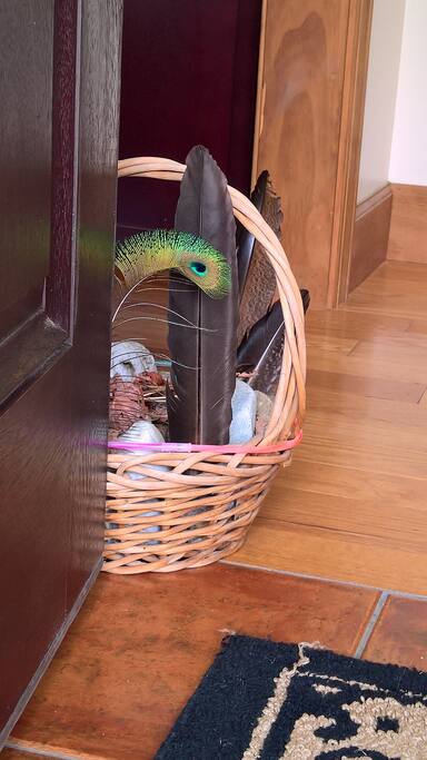 The Front Door Greeter